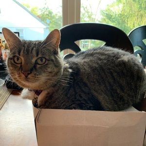 Meet your Posher, Jacqueline